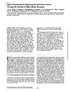 Signal Transduction by Epidermal Growth Factor Occurs Through