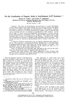 On the Localization of Organic Acids in Acid