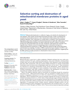 Selective sorting and destruction of mitochondrial membrane