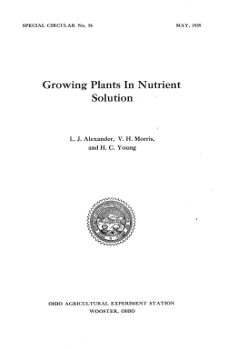 Growing Plants In Nutrient Solution
