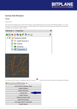 Convex Hull XTension