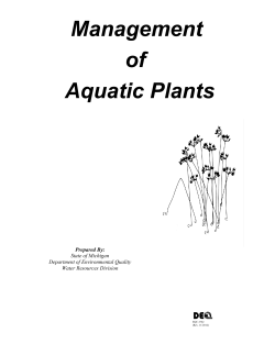 management of aquatic plants