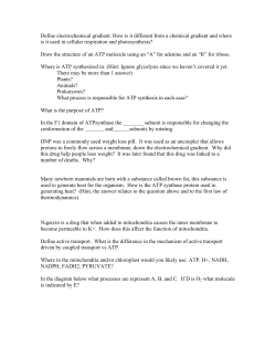 Define electrochemical gradient. How is it different