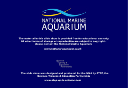 Food chains and food webs