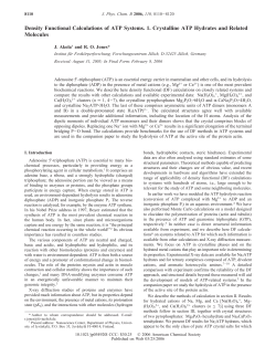 Density Functional Calculations of ATP Systems
