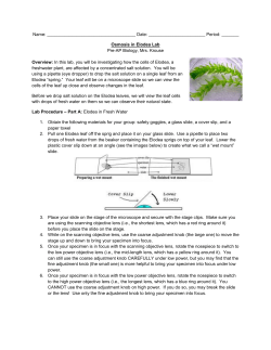 Osmosis in Elodea Lab - Ms. Ottolini`s Biology Wiki!