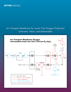 Ion Transport Membrane for Lower