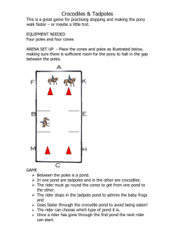 This is a great game for practising stopping and making the pony