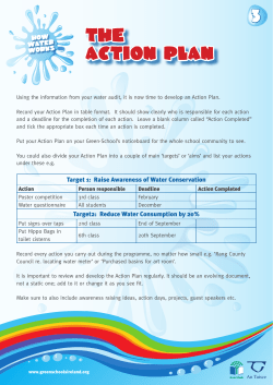 THE ACTION PLAN