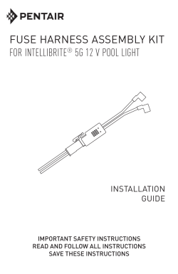fuse harness assembly kit for intellibrite&reg; 5g 12 v pool light