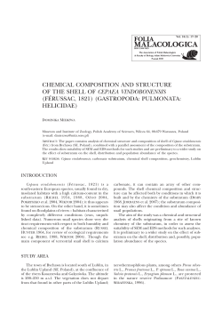 chemical composition and structure of the shell of cepaea