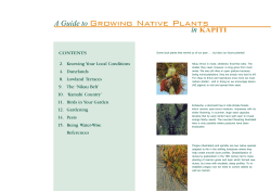 Native Plant Guide Restore - Kapiti Coast District Council