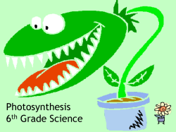 Plant Systems