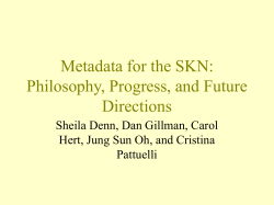 Metadata for the SKN: Philosophy, Progress, and Future Directions