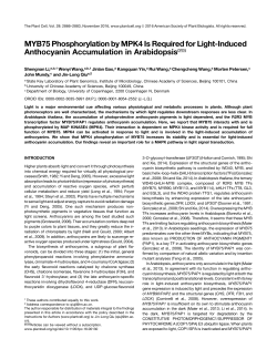 MYB75 Phosphorylation by MPK4 Is Required for Light
