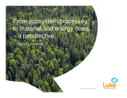From ecosystem processes to material and energy flows &ndash; a