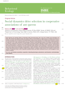 Social dynamics drive selection in cooperative associations of ant