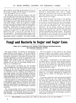 Fungi and Bacteria in Sugar and Sugar Came.