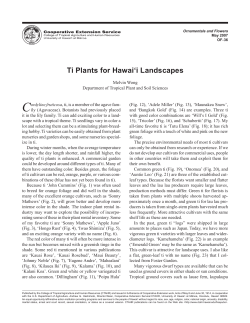 Ti Plants for Hawai`i Landscapes - College of Tropical Agriculture