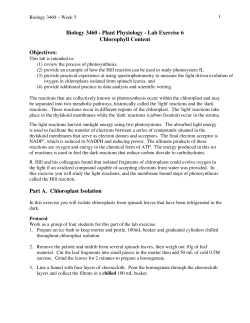 Lab Exercise 6 Chlorophyll Content Objectives