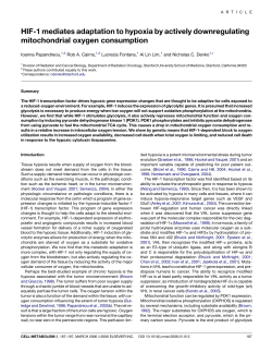 HIF-1 mediates adaptation to hypoxia by actively downregulating