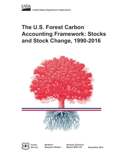 The US forest carbon accounting framework