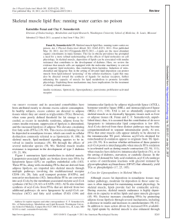 Skeletal muscle lipid flux: running water carries no poison