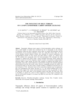 THE INFLUENCE OF HILLY TERRAIN ON CANOPY