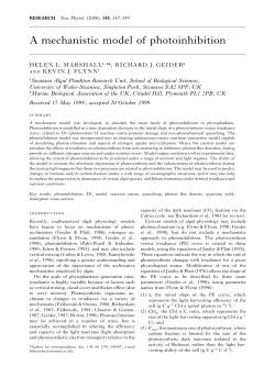 A mechanistic model of photoinhibition