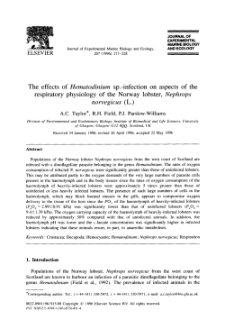 The effects of Hematodinium sp.-infection on aspects of the