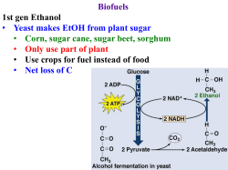 Bio 226: Cell and Molecular Biology