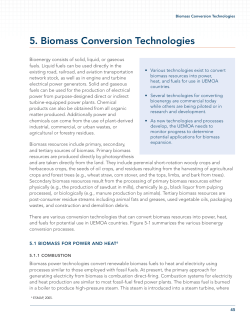 5. Biomass Conversion Technologies