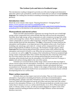 The Carbon Cycle and Intro to Feedback Loops