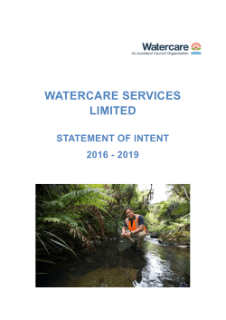 Statement of Intent 2016-2019