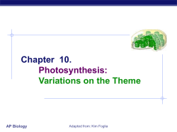 Chapter 10. Photosynthesis: Variations on the Theme