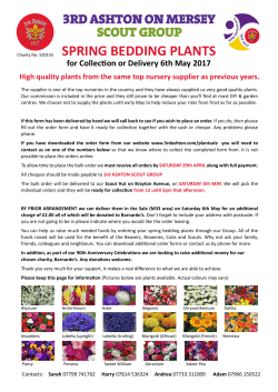 spring bedding plants - 3rd Ashton Scout Group