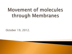 Movement of molecules through Membranes