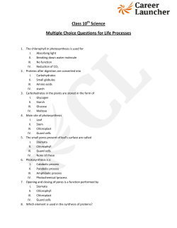 Class 10 Science Multiple Choice Questions for Life Processes