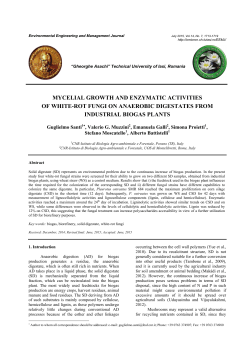 mycelial growth and enzymatic activities of white