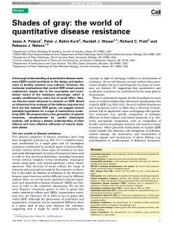 Shades of gray: the world of quantitative