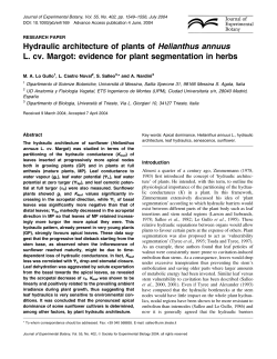 Hydraulic architecture of plants of Helianthus annuus L. cv. Margot