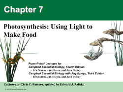 Eric Simon, Jane Reece, and Jean Dickey Campbell Essential