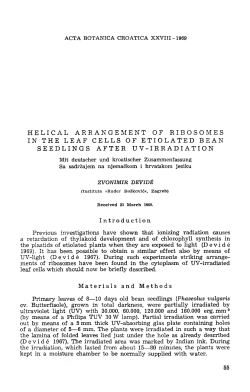 HELICAL ARRANGEMENT OF RIBOSOMES IN THE LEAF CELLS