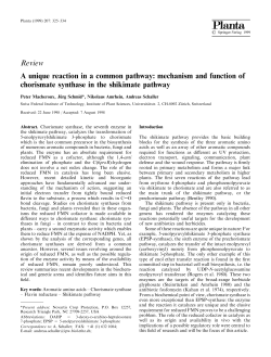 Review A unique reaction in a common pathway: mechanism and