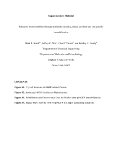 Supplementary Material Enhanced protein stability through