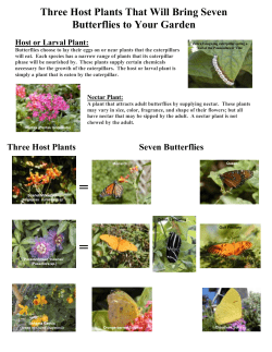 Three Host Plants That Will Bring Seven