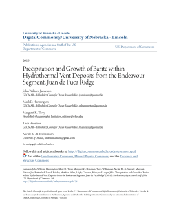 Precipitation and Growth of Barite within Hydrothermal Vent