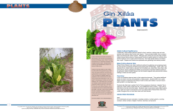 Haida Cultural Significance Elder/Culture Bearer Role Overview