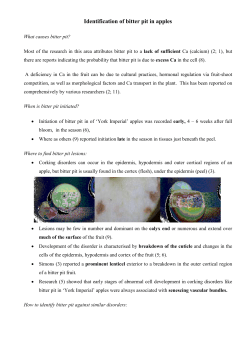 Identification of bitter pit in apples