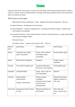 Tissues A group of cells more or less same in structure, Size and